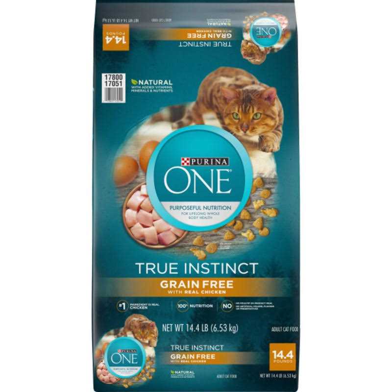 Purina ONE Natural High Protein Grain Free Dry Cat Food - Pet Supplies online store