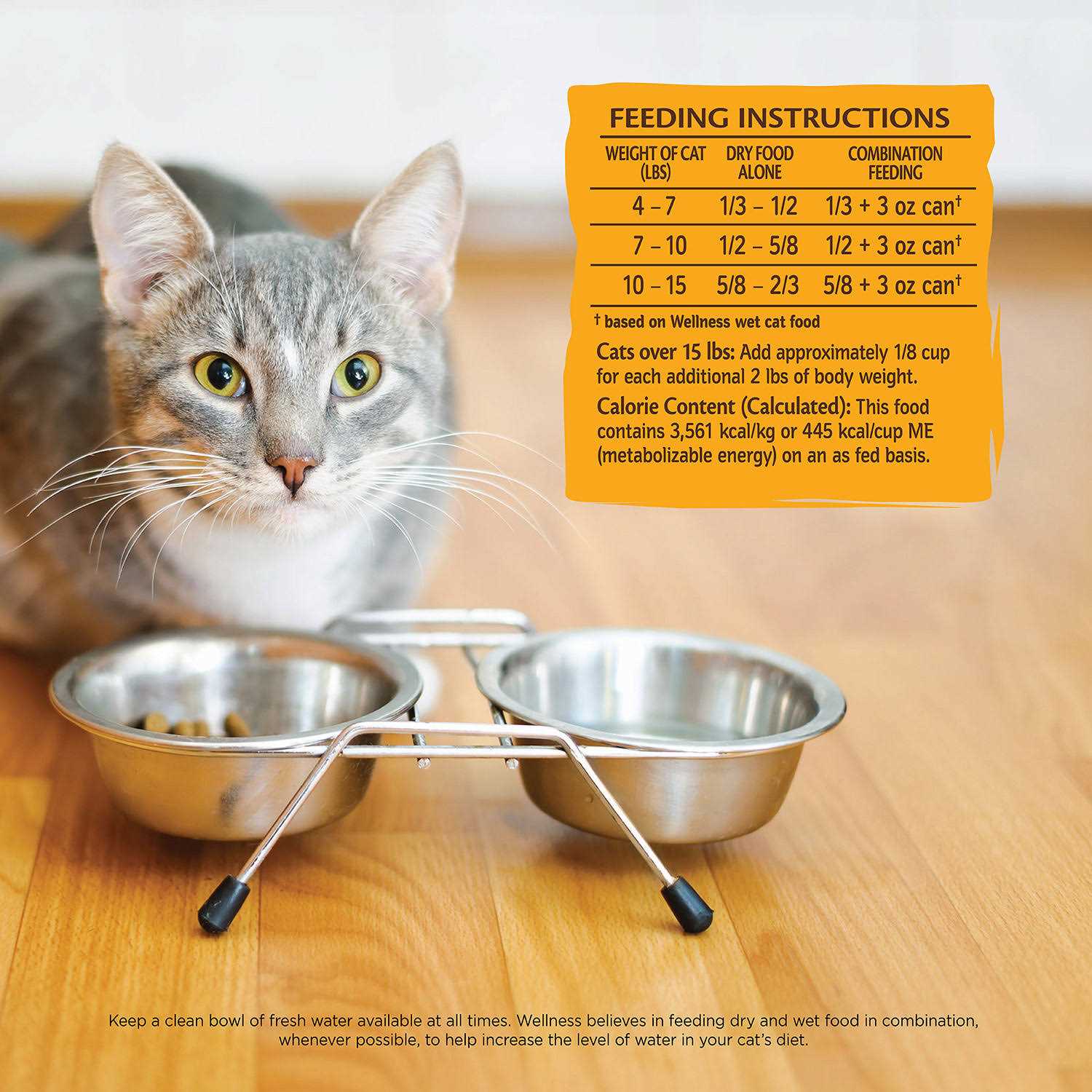 Wellness Core Dry Cat Food - Pet Supplies online store