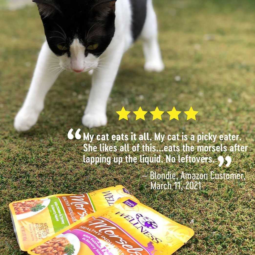 Wellness Healthy Indulgence Natural Grain Free Wet Cat Food Morsels Variety Pack - Pet Supplies online store