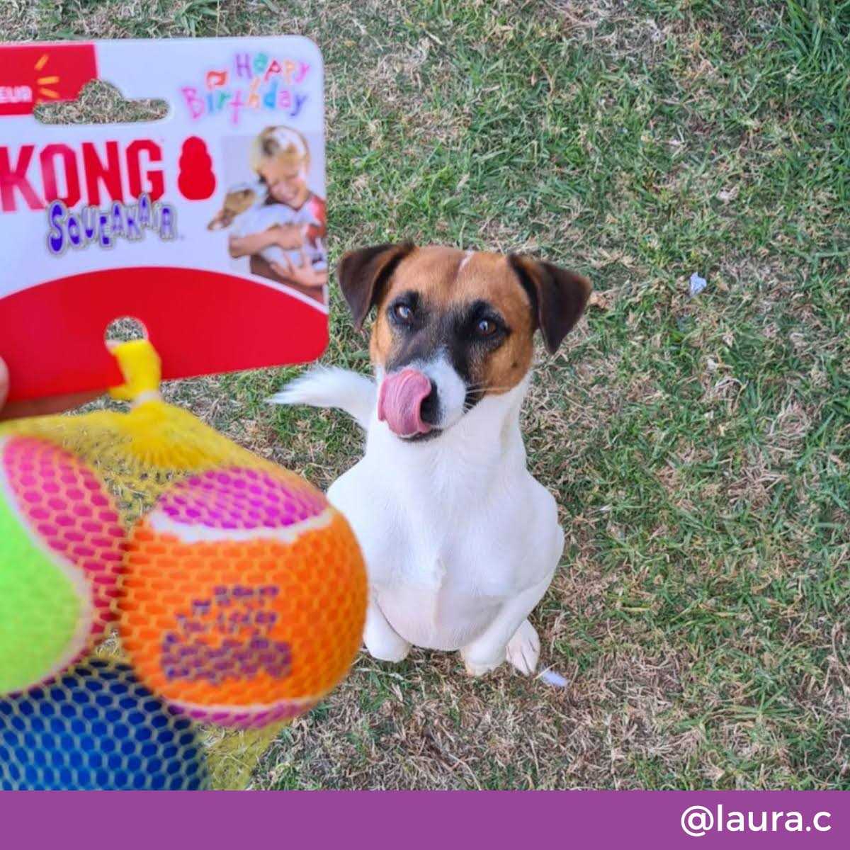 Kong SqueakAir - Pet Supplies online store