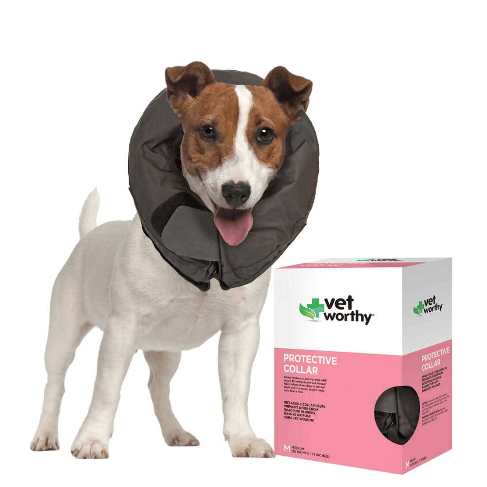 Vet Worthy Inflatable Protective Dog Collar - Pet Supplies online store