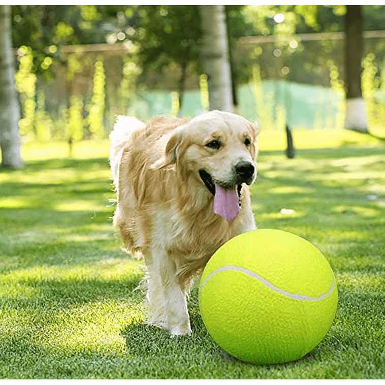 Banfeng Giant 9.5 Dog Tennis Ball Large Pet Toys Funny Outdoor Sports Dog Ball Gift with Inflating Needles - Pet Supplies online store