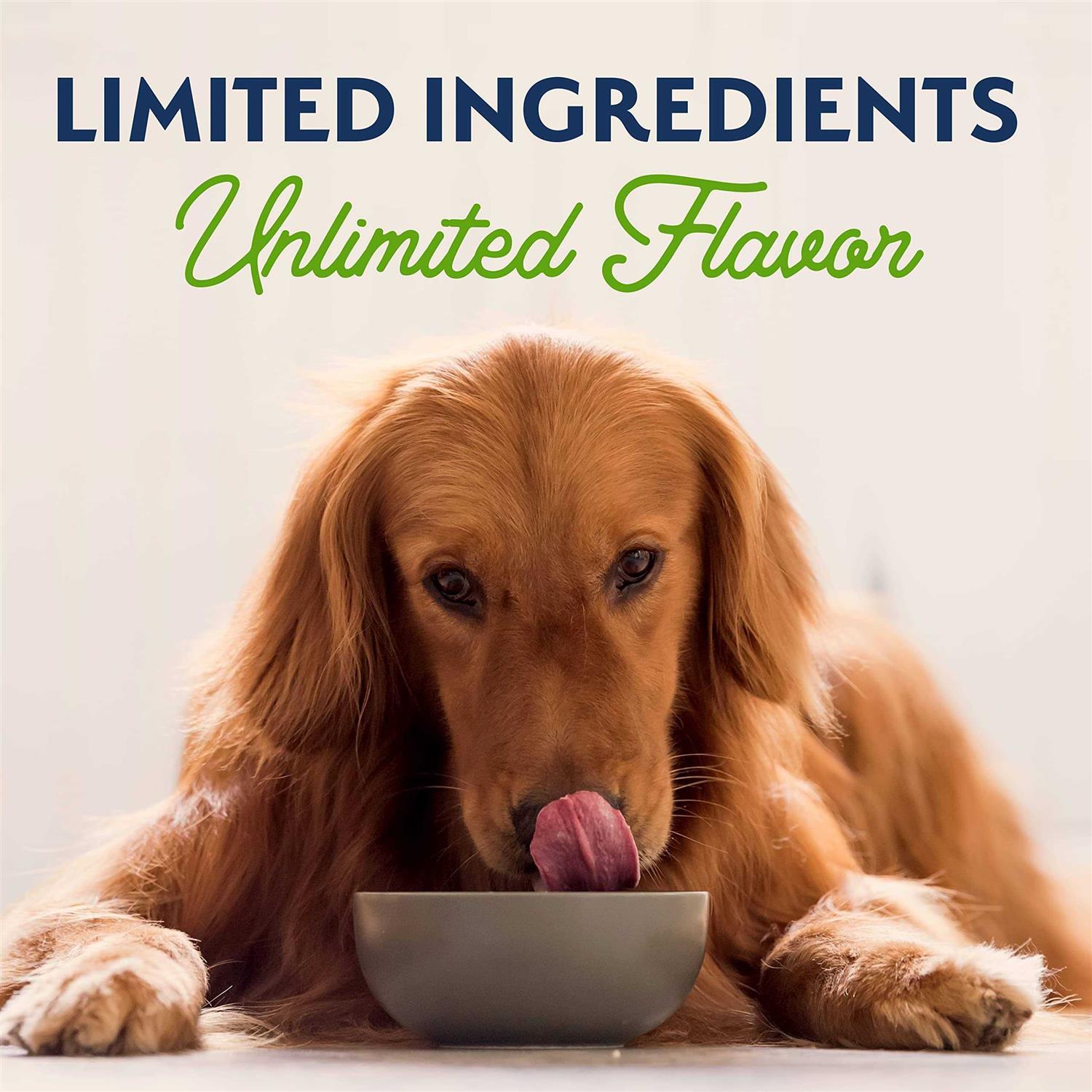 Natural Balance Dog Food Vegetarian Formula - Pet Supplies online store