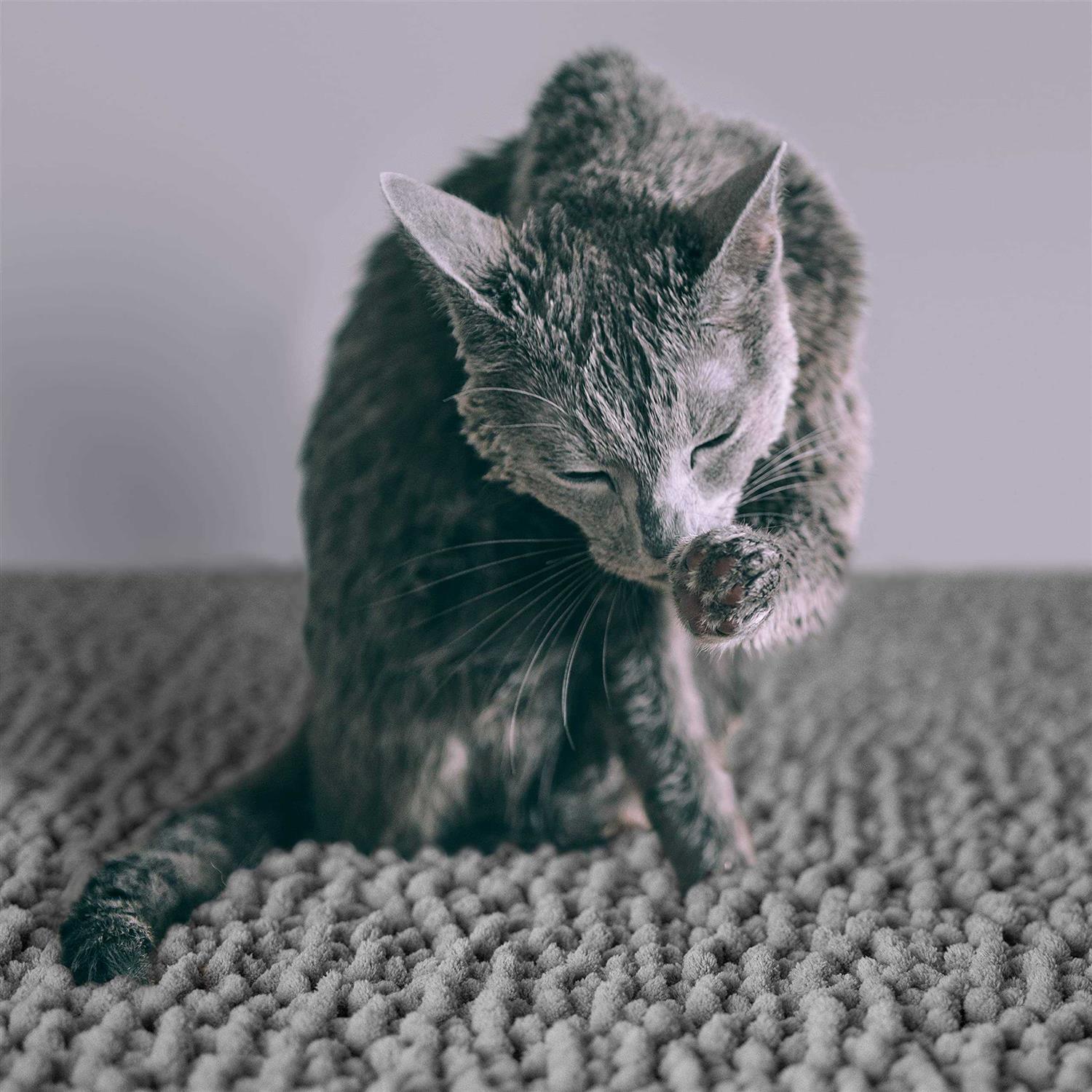 CatGuru Cat Litter Mat Medium Extra Large XXL Waterproof Litter Box Mat - Pet Supplies online store