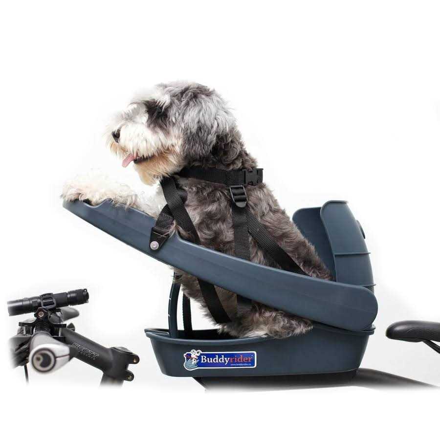 Buddyrider Dog Bicycle Seat Safety Dog Bike Seat For Dogs Up To 25 lbs - Pet Supplies online store