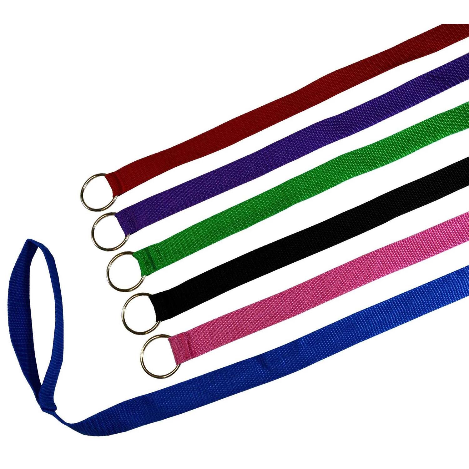 Downtown Pet Supply Dog Slip Lead Dog Leash - Pet Supplies online store