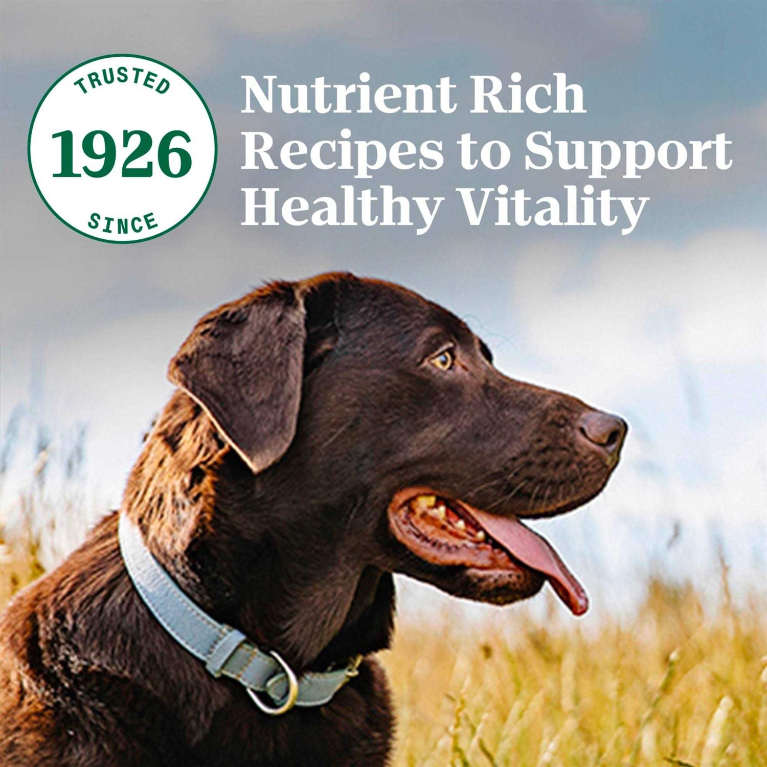 Nutro Natural Choice Adult Chicken & Brown Rice Dry Dog Food - Pet Supplies online store