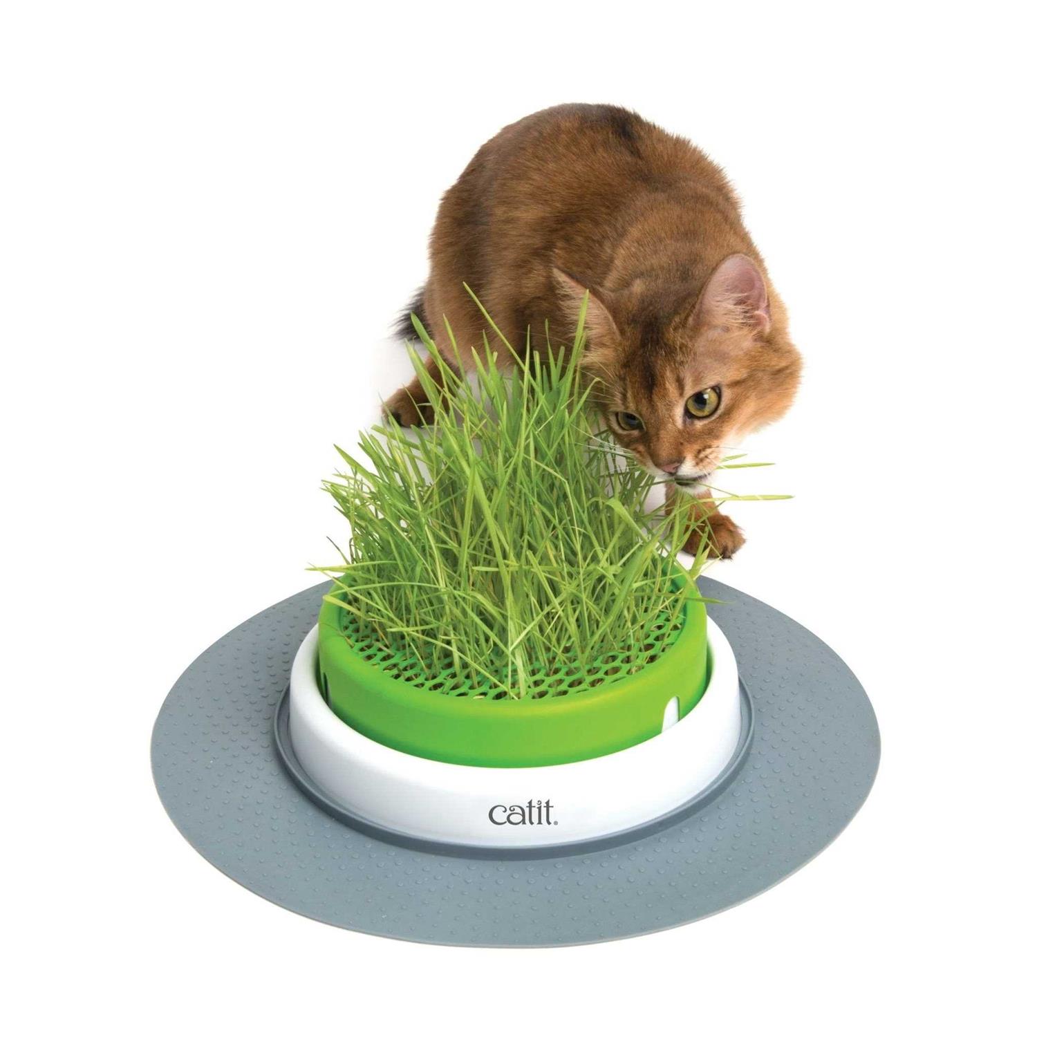 Catit Senses 2.0 Grass Planter - Pet Supplies online store