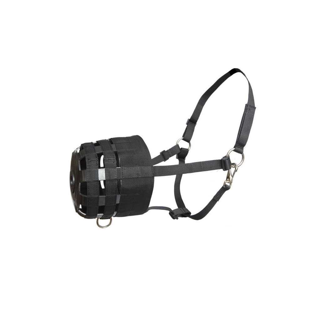 Economy Nylon Halter Grazing Muzzle - Pet Supplies online store