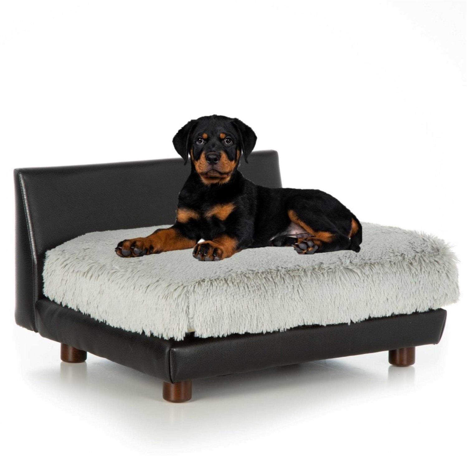 Club Nine Pets Roma Orthopedic Dog Bed - Pet Supplies online store