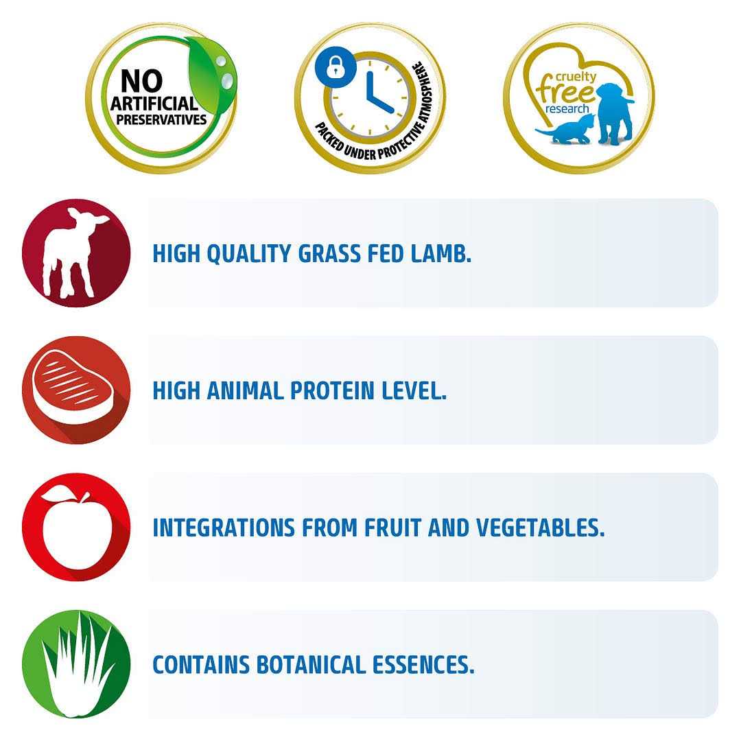 Farmina N&D Prime Grain Free Cat Dry Food Lamb & Blueberry - Pet Supplies online store