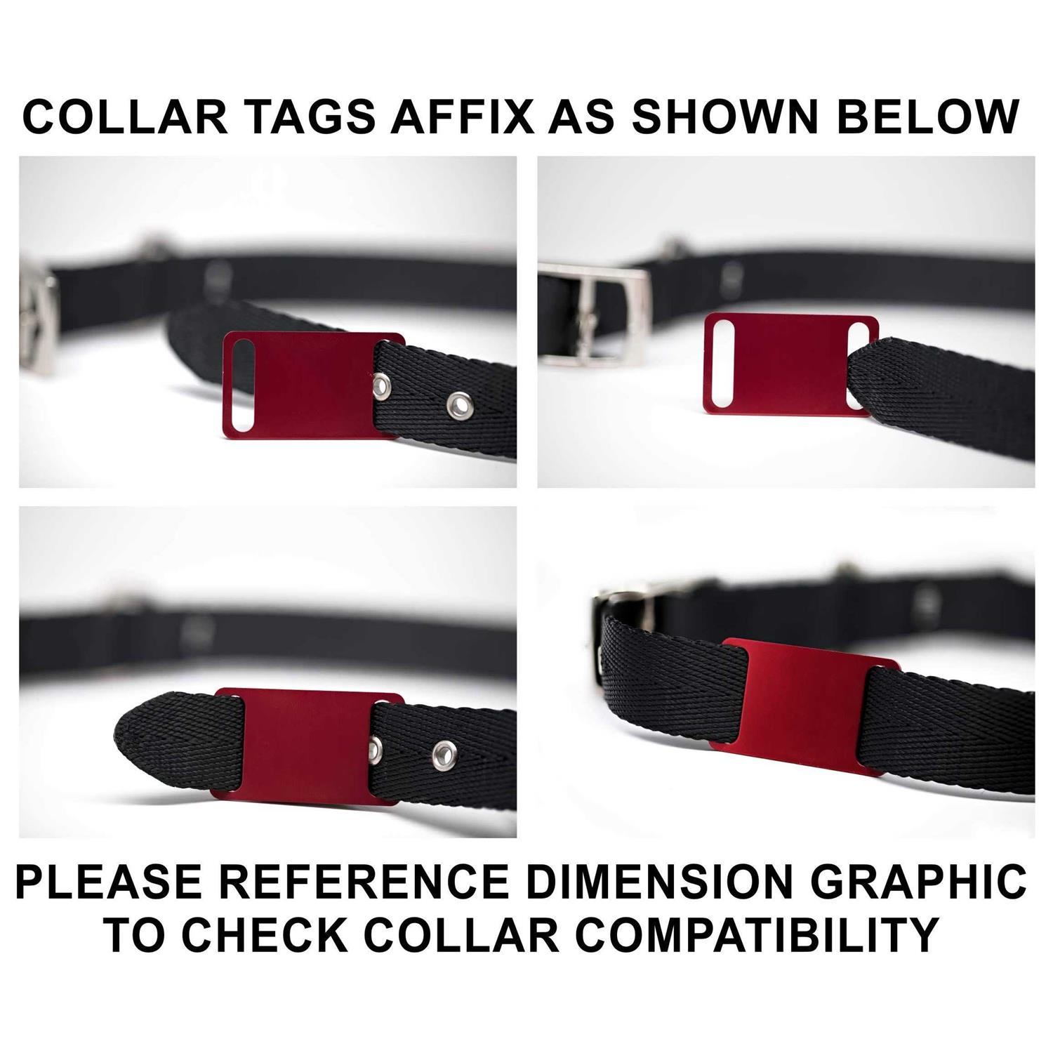 Slide-On Pet ID Tag Collar Tag - Pet Supplies online store