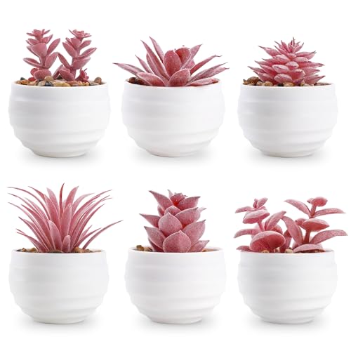 Der Rose Set of 6 Succulents Plants Artificial in Pots Small Fake Plants for Bedroom Aesthetic Living Room Office Shelf Bathroom Decor