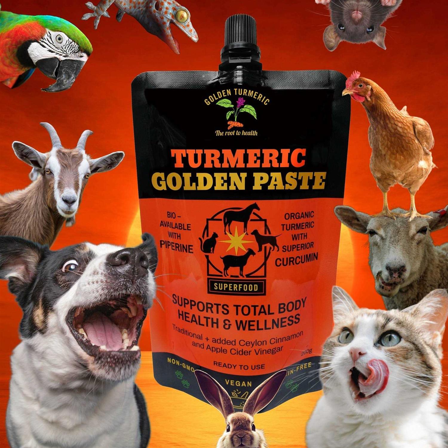 Turmeric Golden Paste for Pets 7 OZ - Pet Supplies online store
