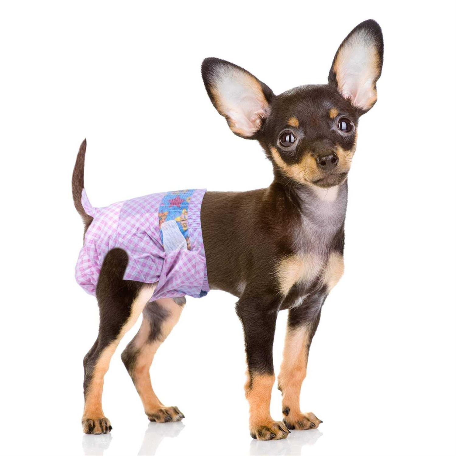 Flying Paws Disposable Female Dog Diapers, Puppy Diapers with Adjustable Elastic Waistline for Female Dog or Cat in Heat - Pet Supplies online store