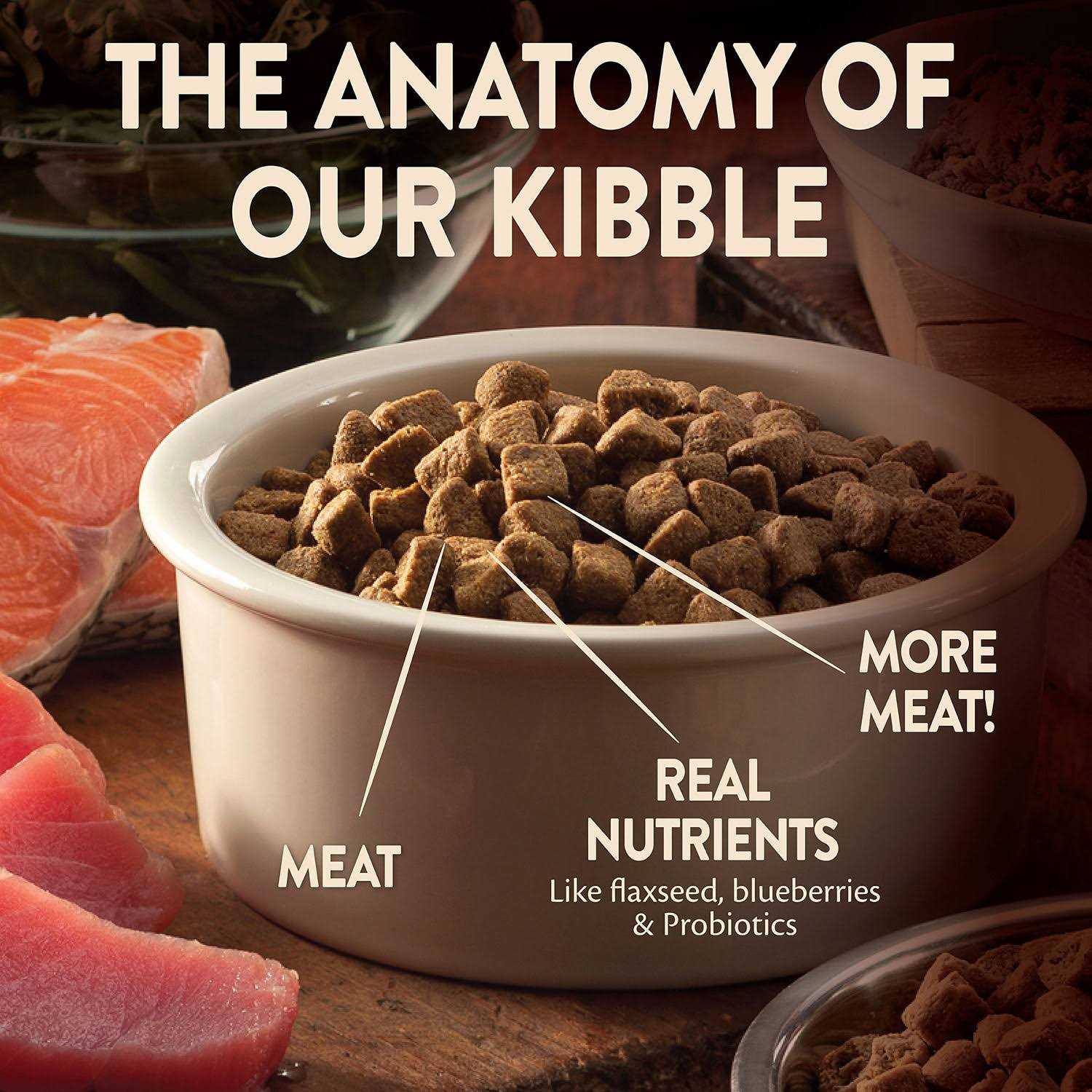 Wellness CORE Wild Game Grain-Free Dry Dog Food - Pet Supplies online store