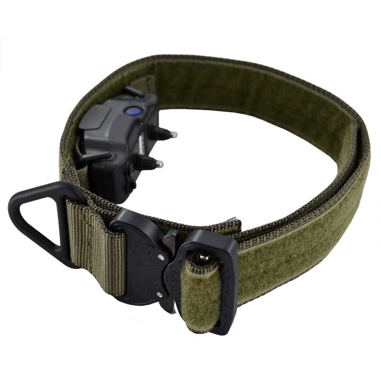 E-Lusive 2.0 ID Collar - Pet Supplies online store