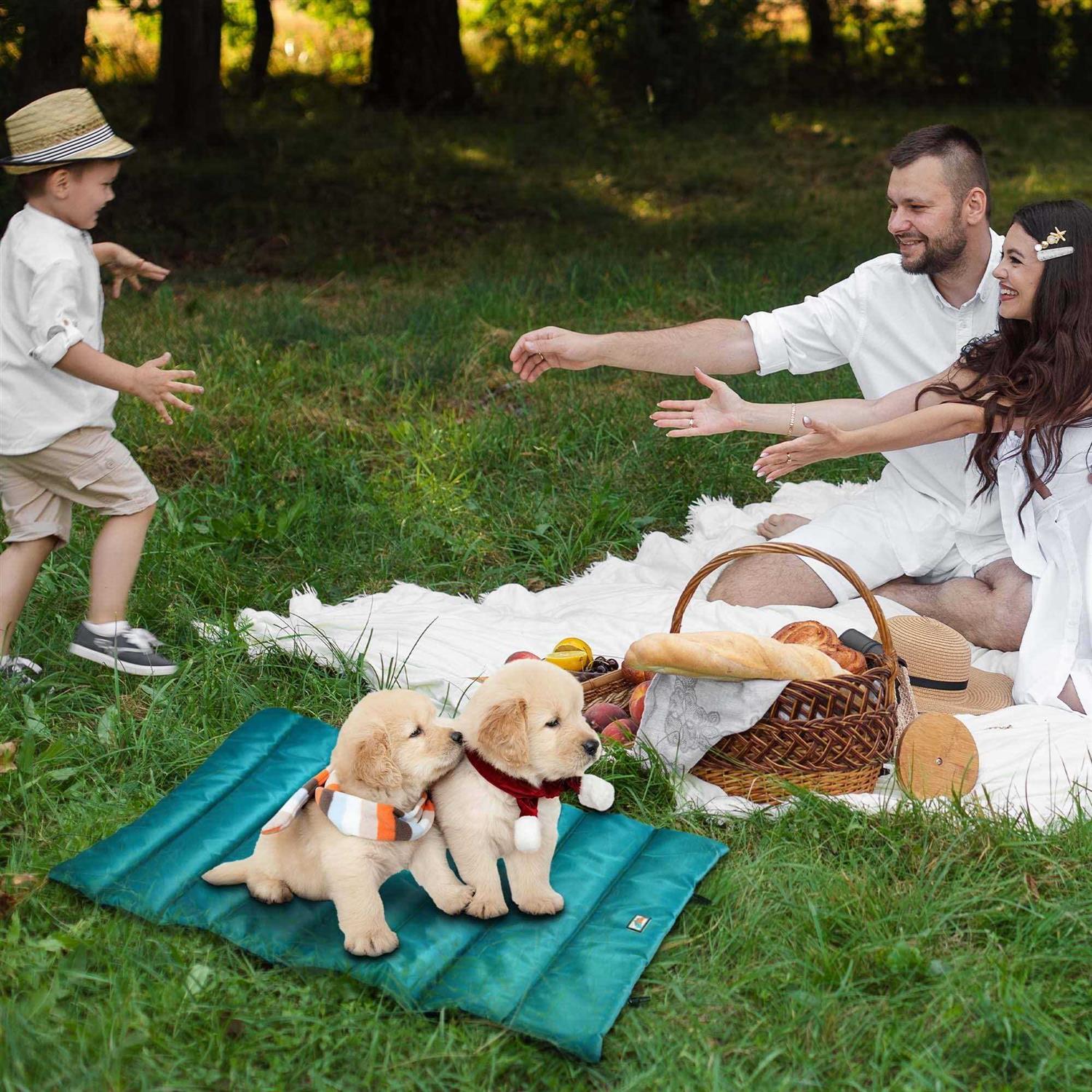 Go Gear by Max & Marlow Portable Waterproof Roll Up Dog Mat Bed - Pet Supplies online store