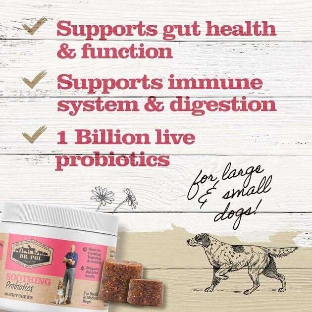 Dr. Pol Probiotic Chews for Dogs Small & Medium - Pet Supplies online store