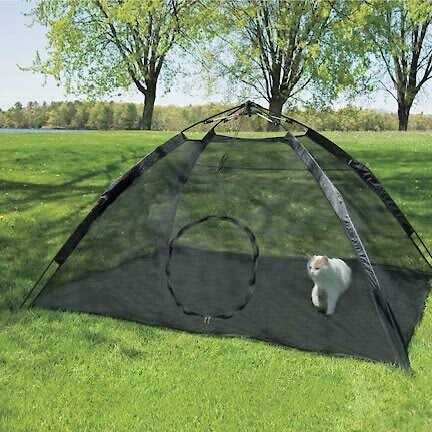 Abo Gear Outdoor Cat Tent Black Large 75 inchl x 64 inchw x 37 inchh - Pet Supplies online store
