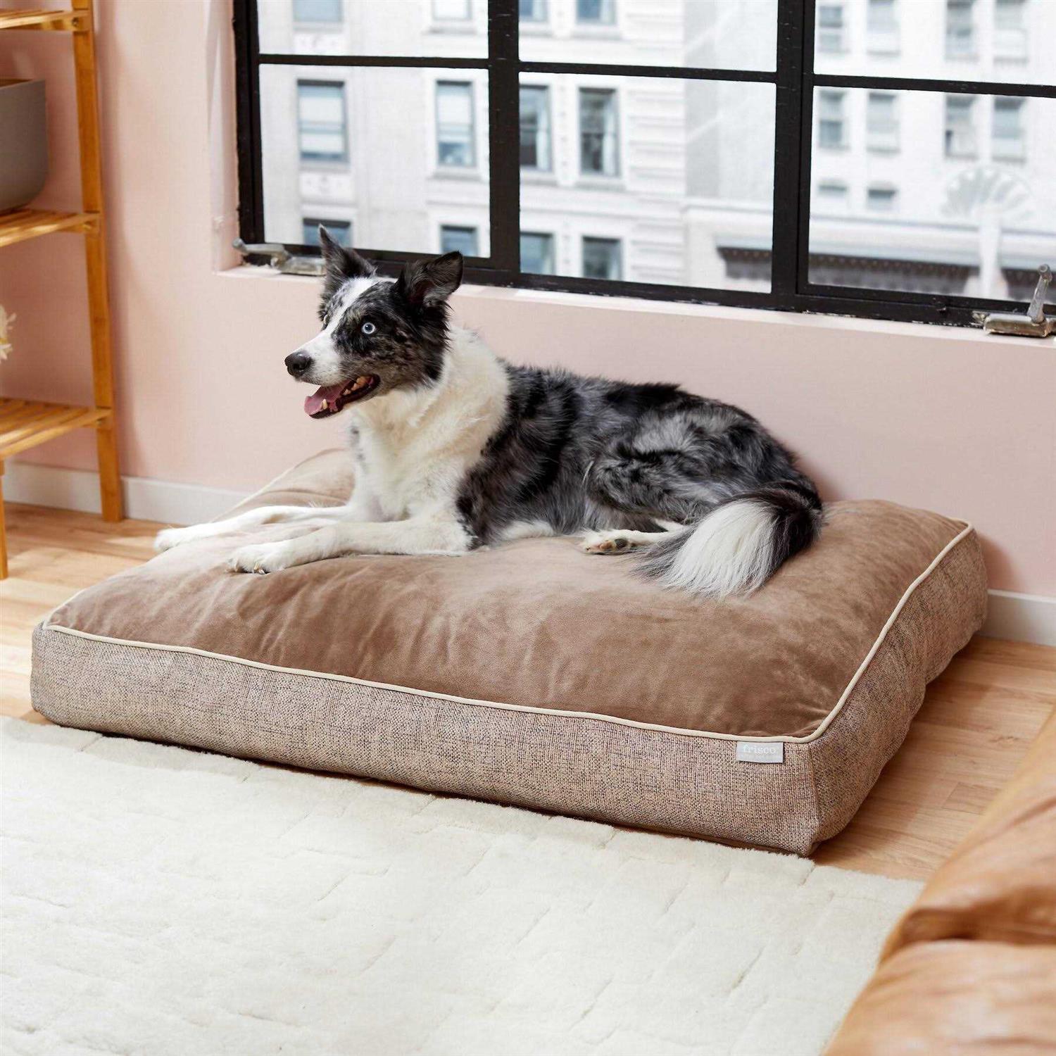 Frisco Plush Orthopedic Pillow Dog Bed w/Removable COVER - Pet Supplies online store