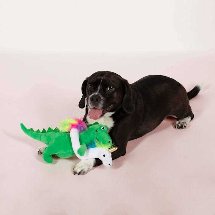 Fringe Studio Summa Time Rex-Plush Dog Toy - Pet Supplies online store