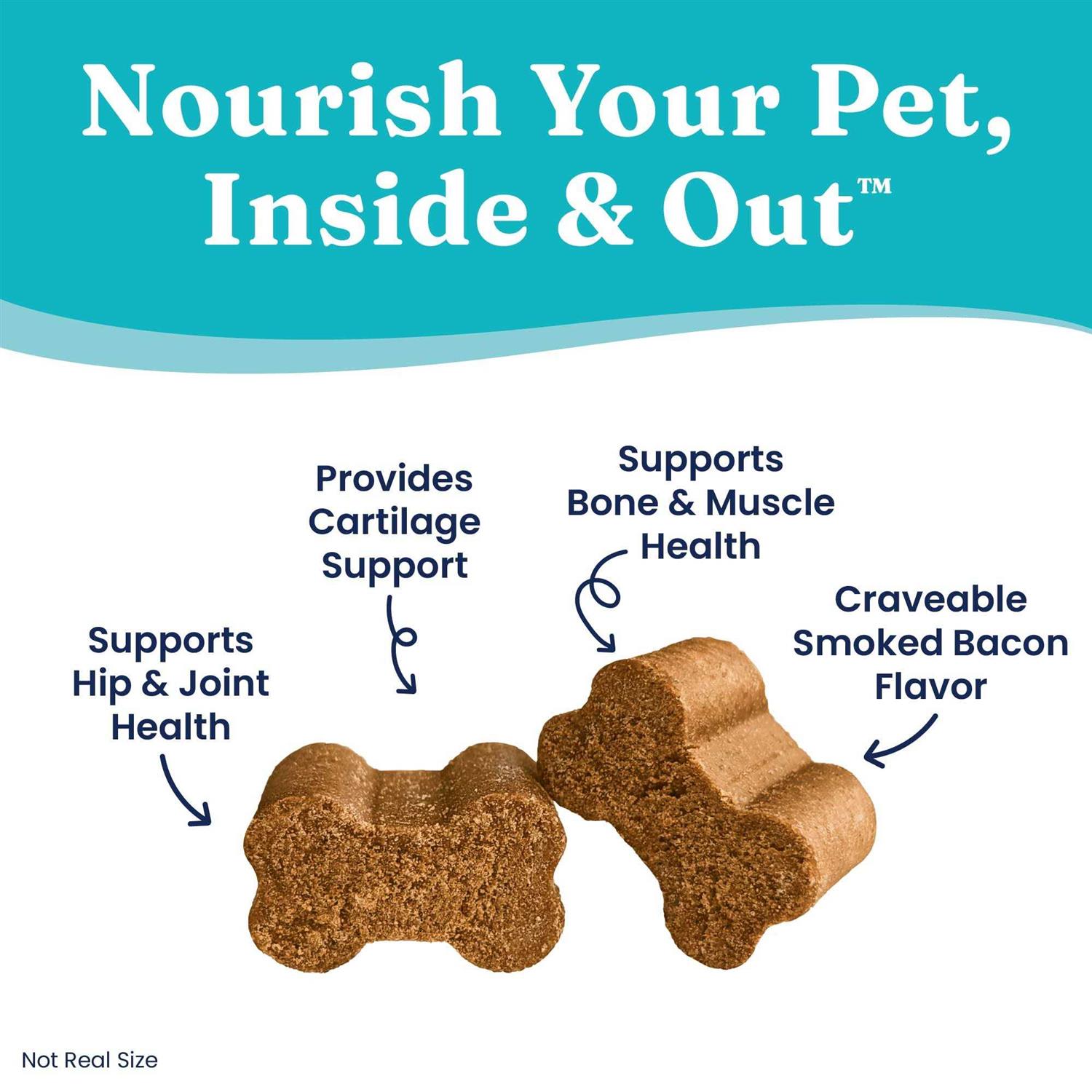 Solid Gold Leaps & Hounds Soft Chews Glucosamine Chondroitin Joint Supplement for Dogs - Pet Supplies online store