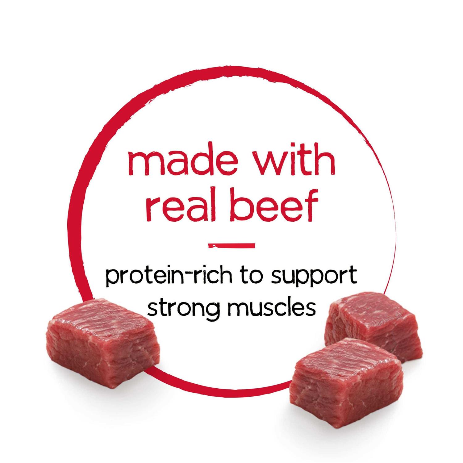 Purina Beneful Dog Food Infused - Pet Supplies online store