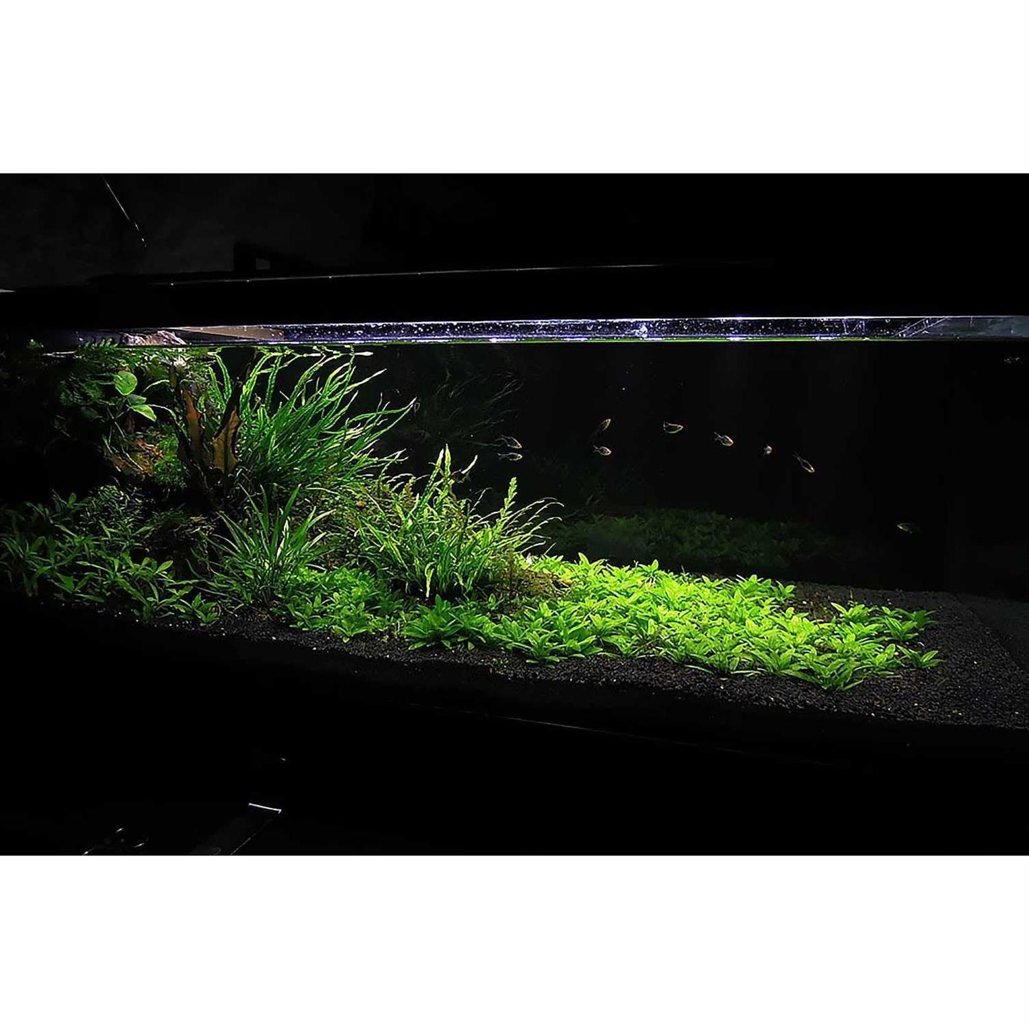 Ultum Nature Systems Controsoil Substrate - Pet Supplies online store