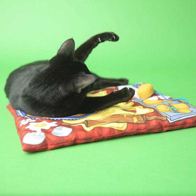 Fat Cat Big Mama's Makin' Biscuits Boogie Mat - Pet Supplies online store