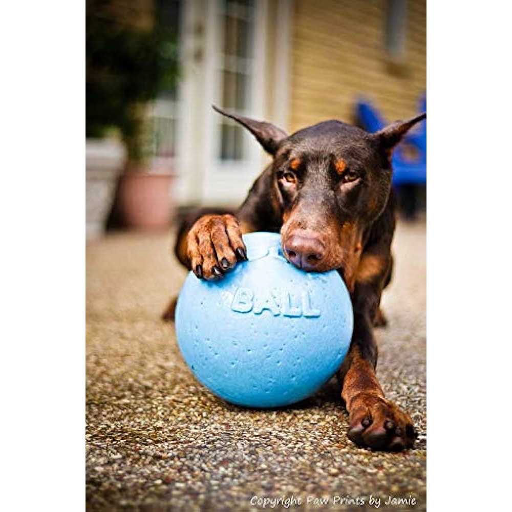 Jolly Pets Bounce N Play - Pet Supplies online store