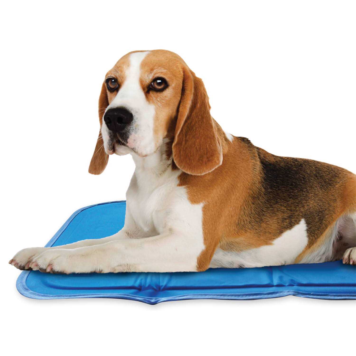Cool Pet Pad The Green Pet Shop Sage Gray Self Cooling Pet Pad - Pet Supplies online store