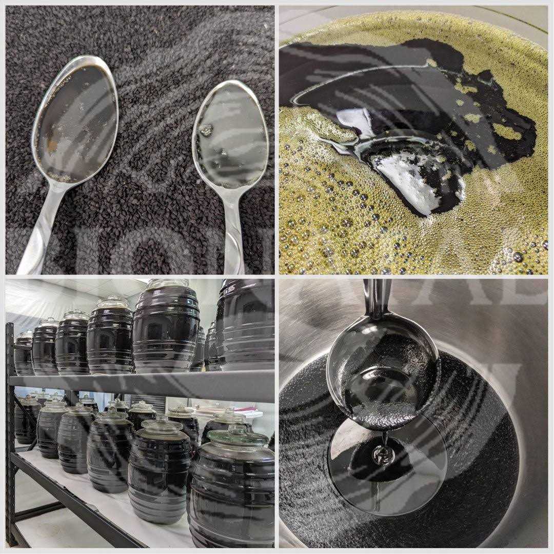 BioNatal Ethiopian Black Seed Oil 16oz - Pet Supplies online store