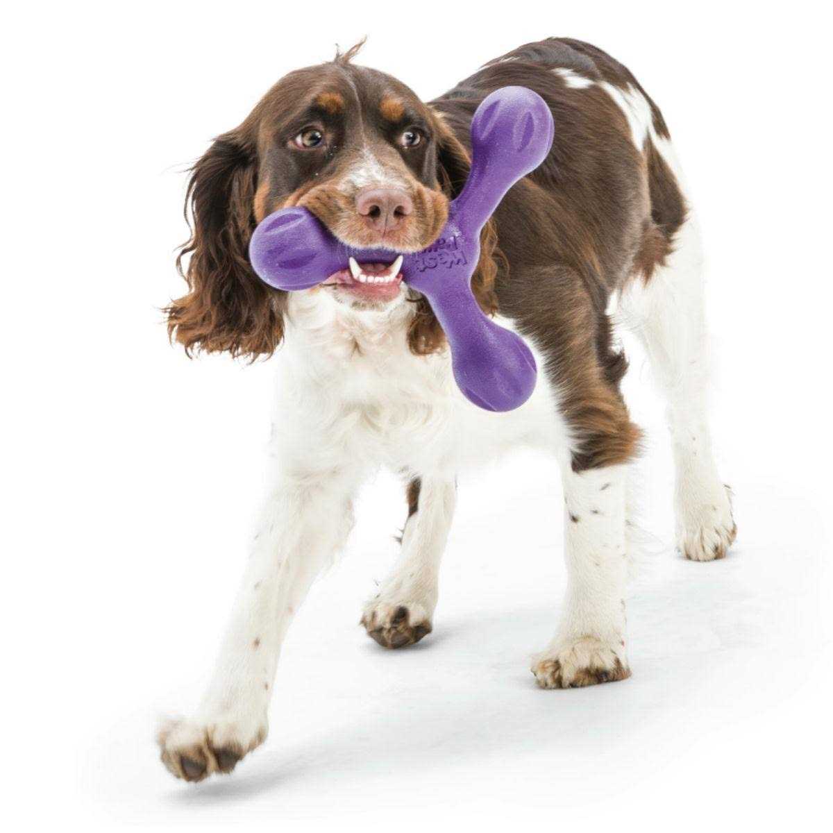 West Paw Skamp Dog Toy - Pet Supplies online store
