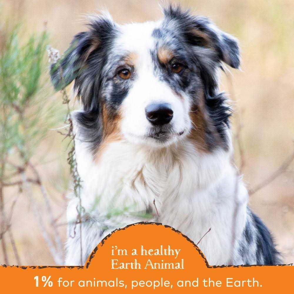 Earth Animal Stop Eating Stool Nutritional Supplement - Pet Supplies online store