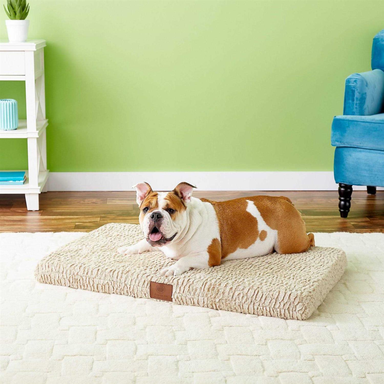 American Kennel Club Orthopedic Dog Crate Mat - Pet Supplies online store