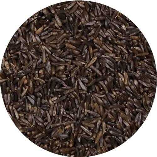 Wagner's Nyjer Seed Wild Bird Food - Pet Supplies online store