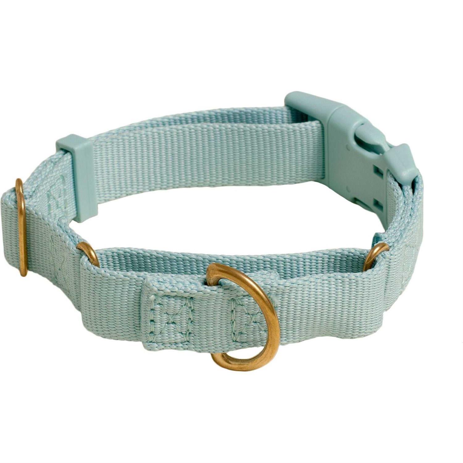 Awoo Marty Martingale Dog Collar - Pet Supplies online store