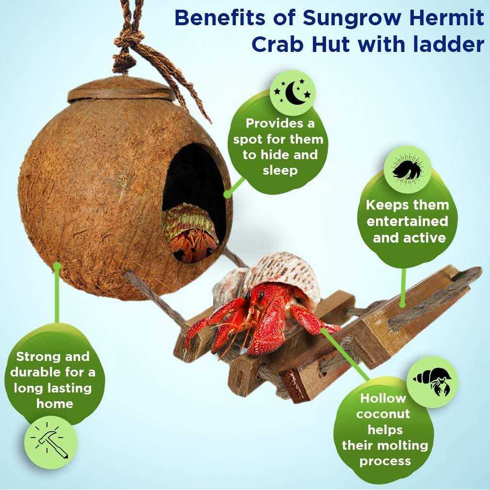 SunGrow Hermit Crab Coco Hut with Ladder - Pet Supplies online store