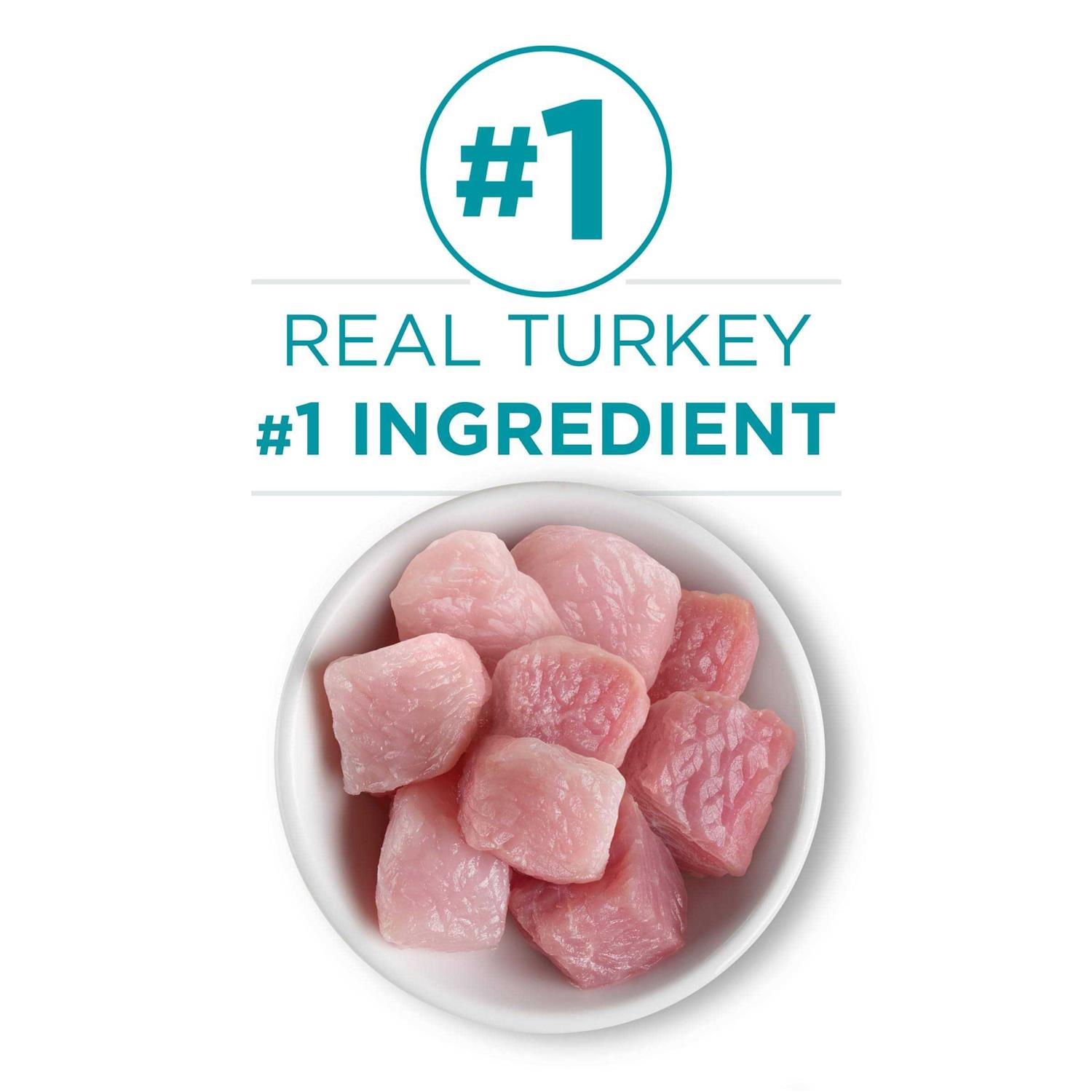 Purina ONE Natural Grain Free Wet Cat Food Pate - Pet Supplies online store