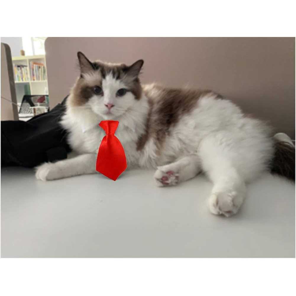 4 Pieces Pets Dog Cat Bowtie Pet Costume Adjustable Formal Necktie Collar for Cats Small Dogs Puppy Grooming Accessories - Pet Supplies online store