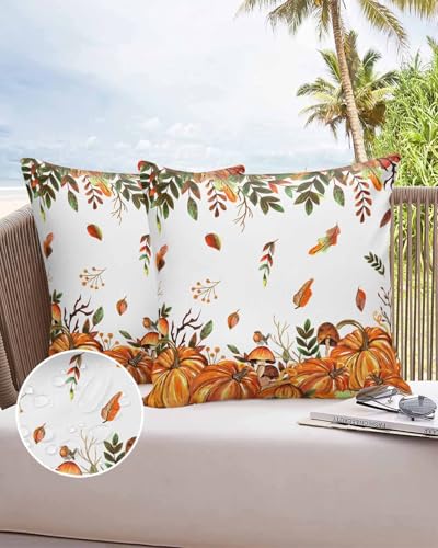 Outdoor Pillow Covers Waterproof, Fall Pumpkins Throw Pillowcase Decorative Cover, Autumn Eucalyptus Leaves Brown Wooden Garden Cushion Case Set of 2 for Sofa, Couch, Tent, Patio, 18