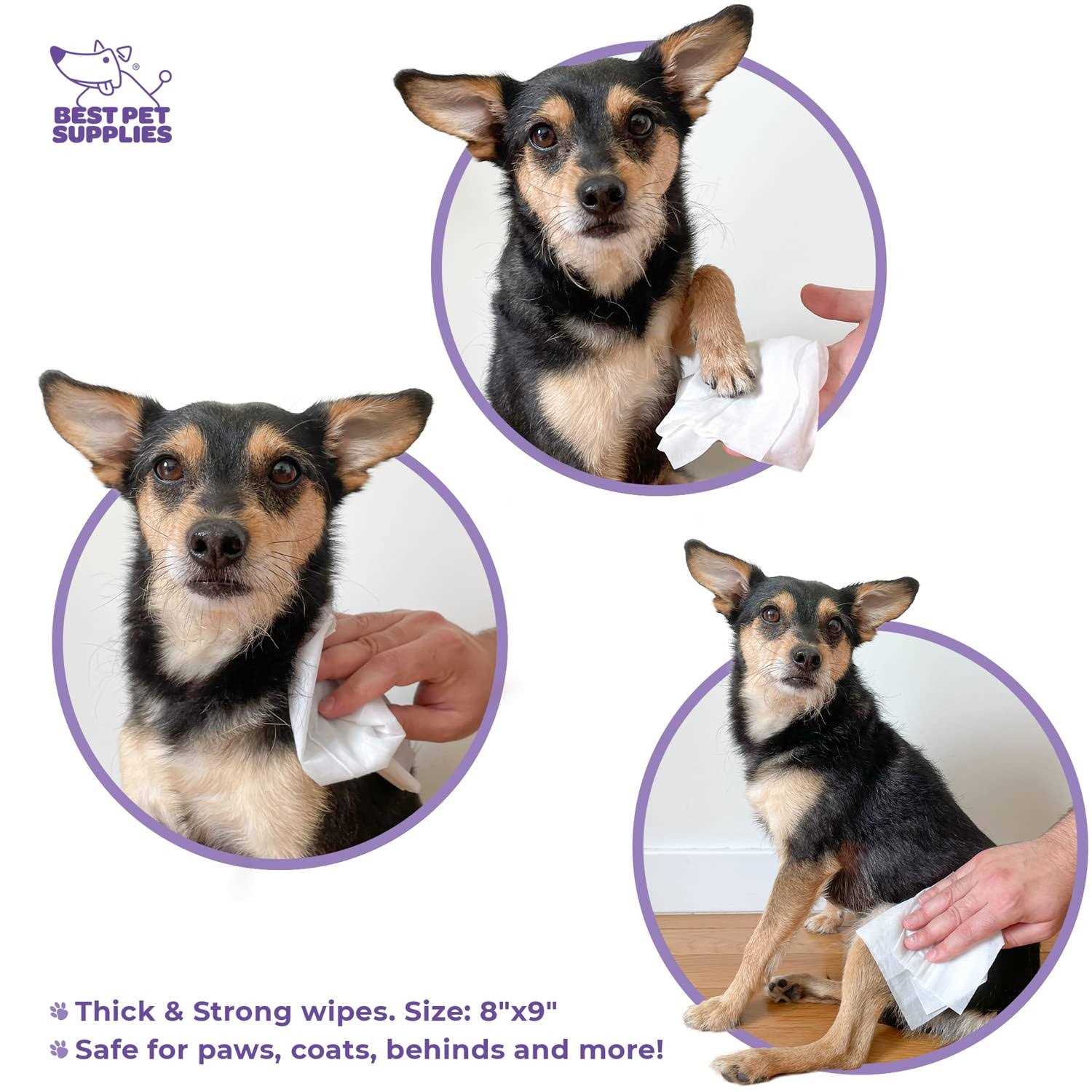 Best Pet Supplies Pet Grooming Wipes for Dogs & Cats Plant-Based Deodorizer for Coats & Dry, Itchy, or Sensitive Skin - Pet Supplies online store