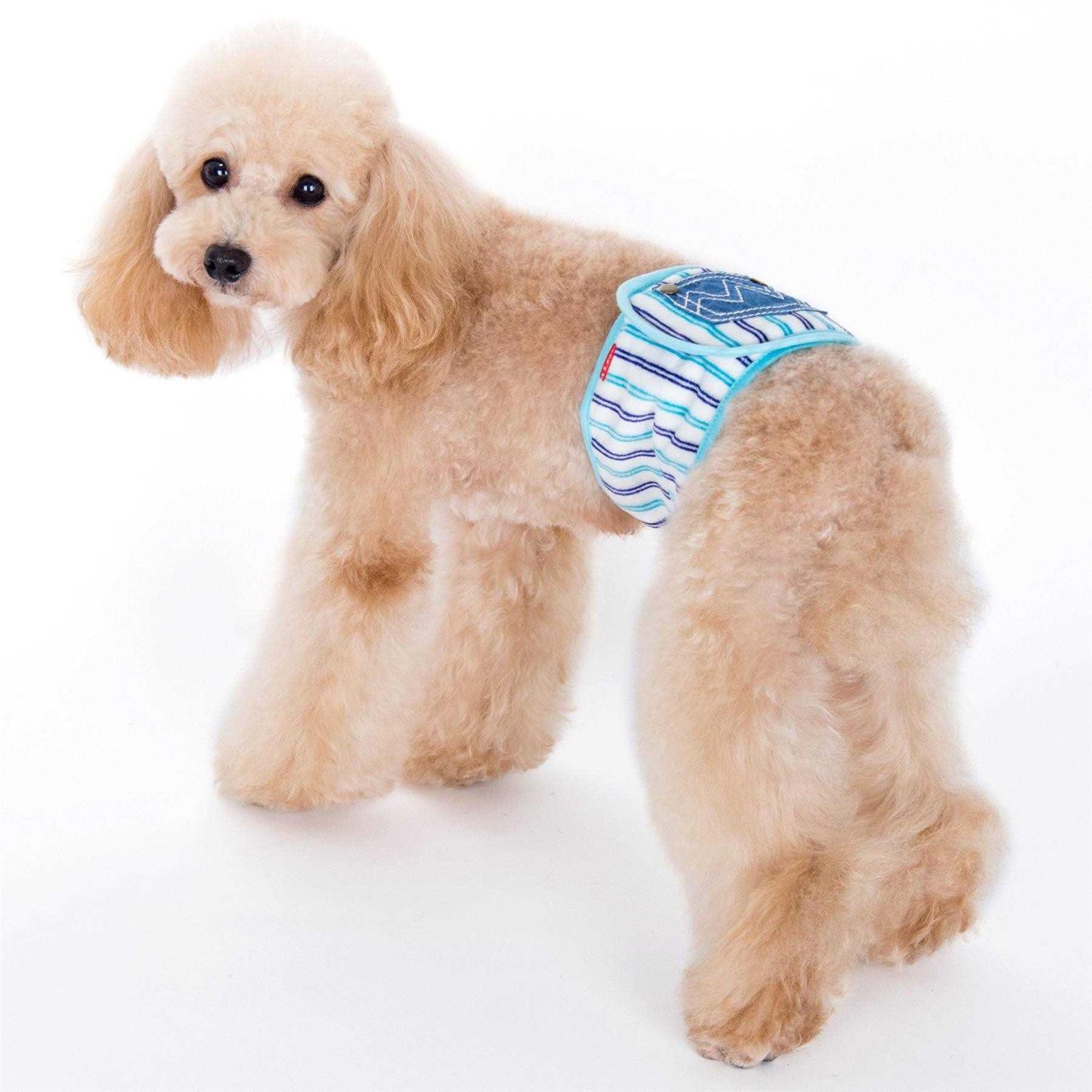 Alfie Pet Gaki Belly Band - Pet Supplies online store