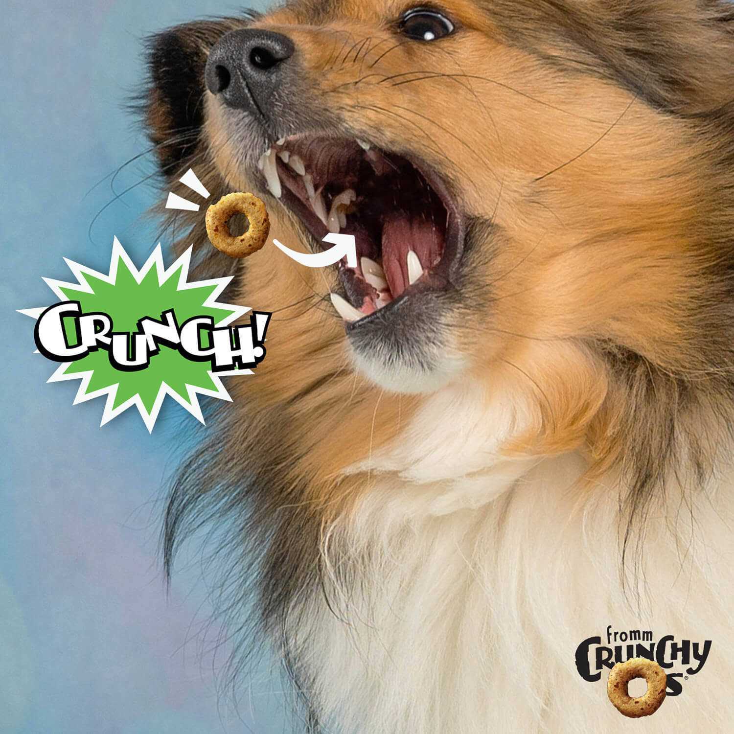 Fromm Crunchy O's Dog Treats - Pet Supplies online store