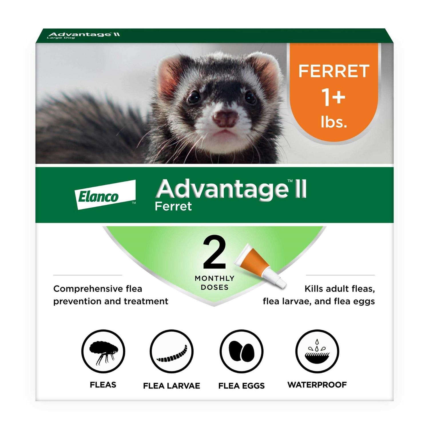 Advantage II Flea Treatment for Ferrets - Pet Supplies online store