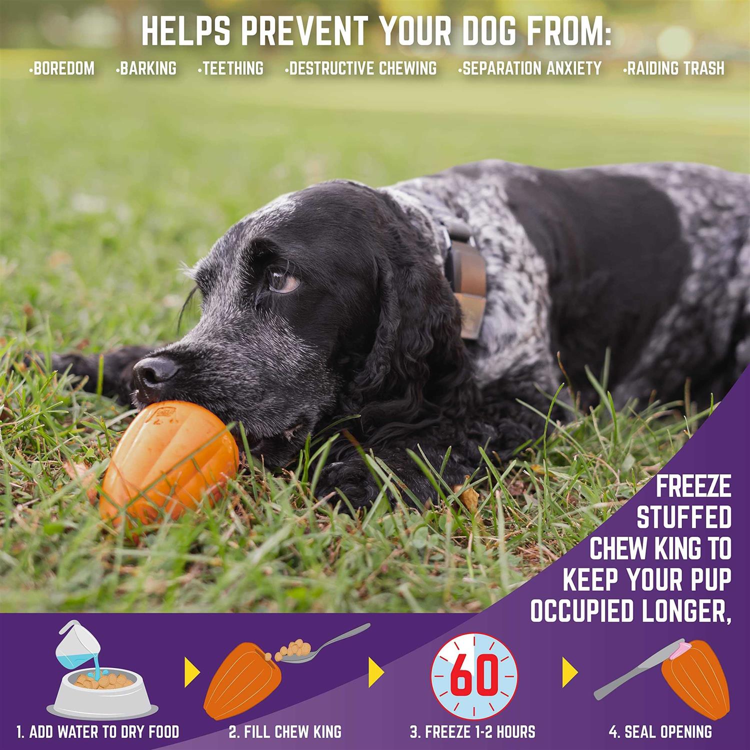 Chew King Premium Treat Dog Toy - Pet Supplies online store