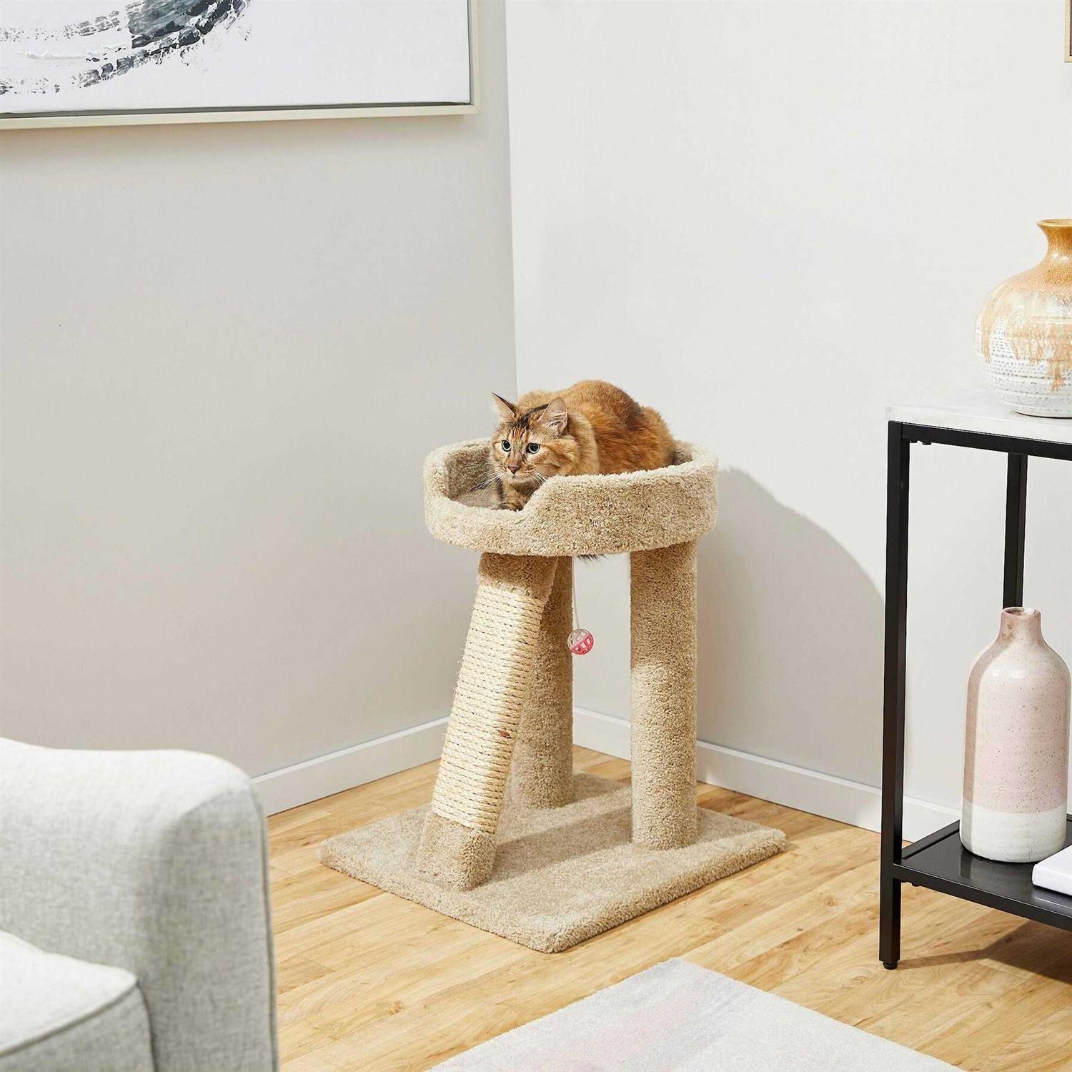 Frisco 24-in Real Carpet Cat Scratching Perch with Toy - Pet Supplies online store