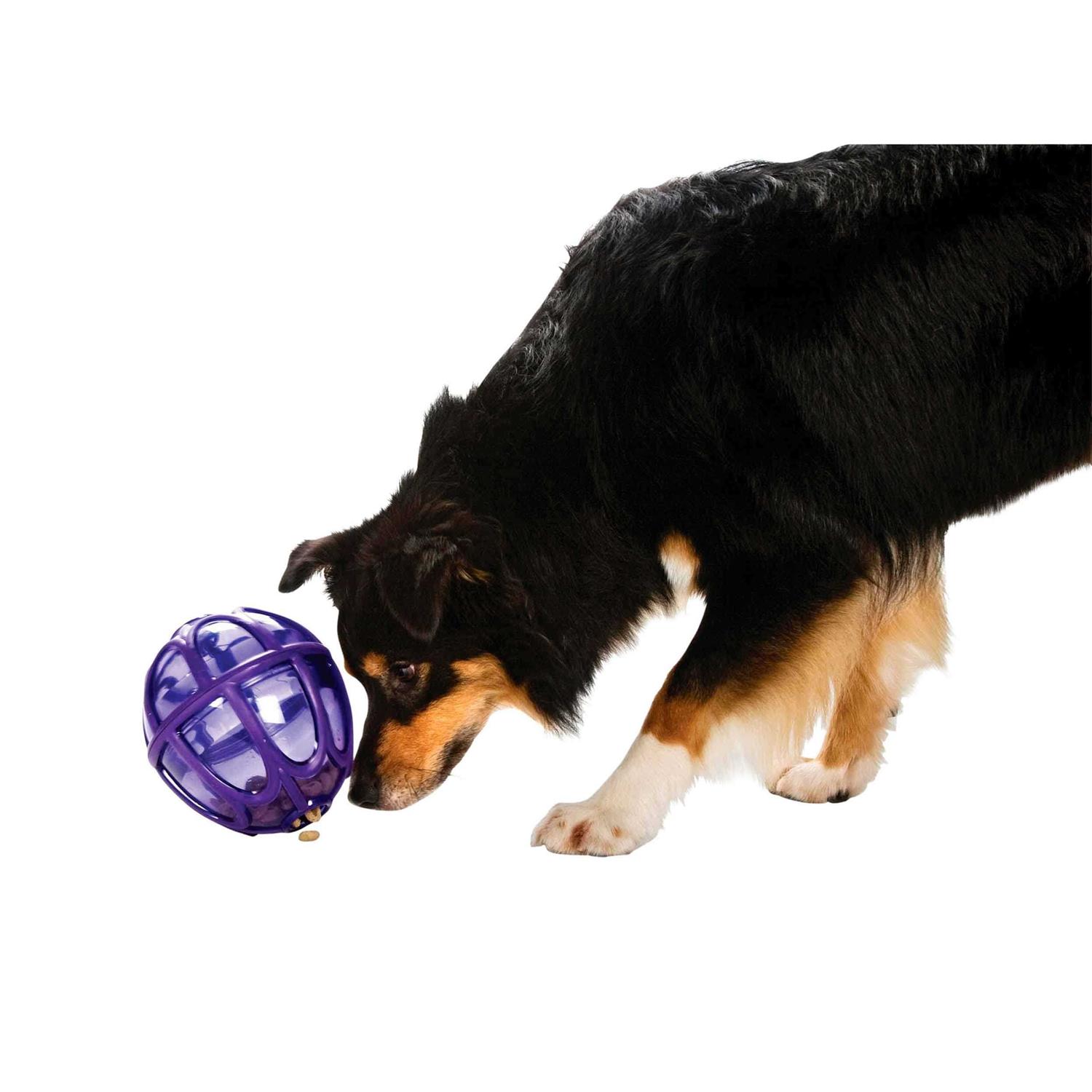 Busy Buddy Kibble Nibble Dog Toy - Pet Supplies online store