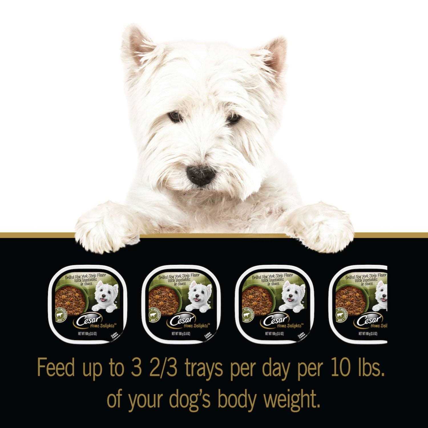 Cesar Home Delights Vegetables Dog Food - Pet Supplies online store